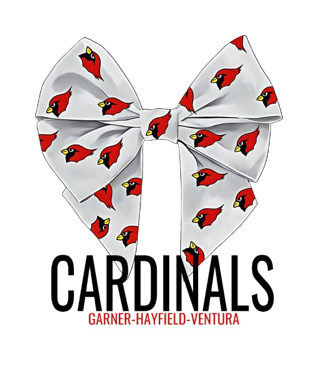 Cardinals Bow #1