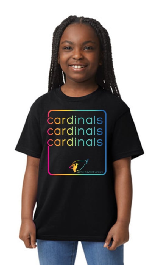 Multicolored Cardinals - YOUTH
